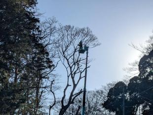 高所作業実施中