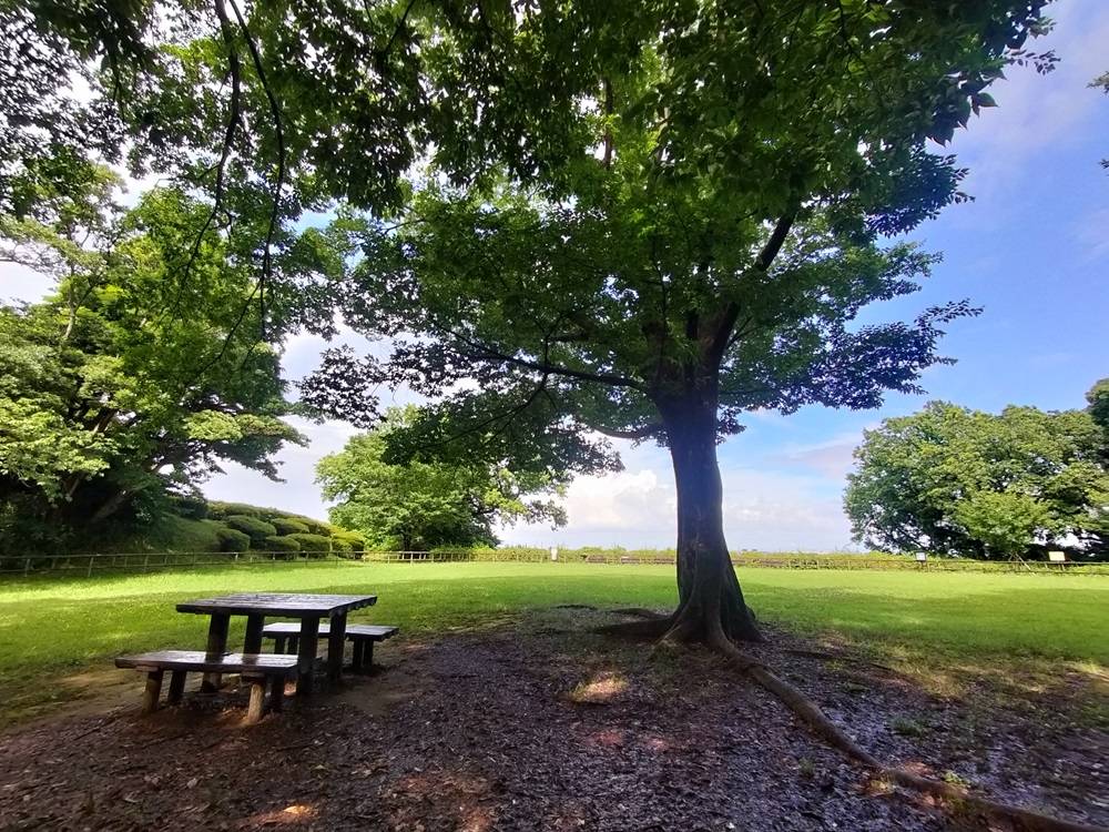 富総press夏号の写真