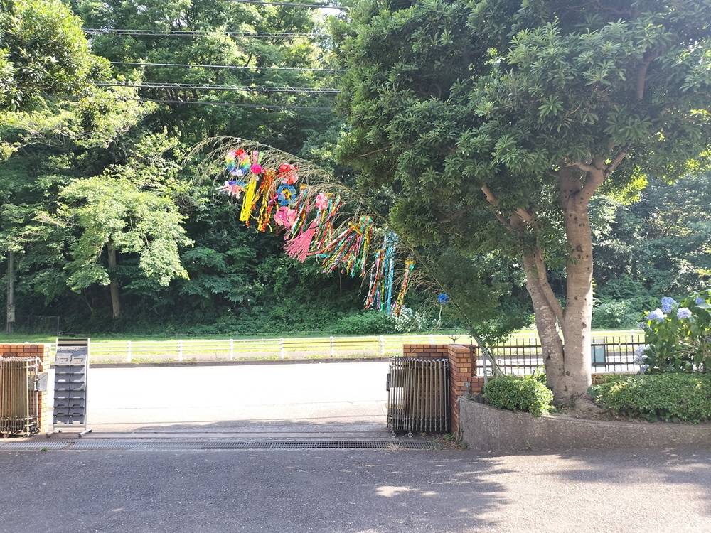 七夕飾りつけをしました!の写真