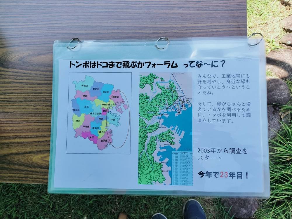 【トンボとり大作戦2025】at富岡総合公園の写真
