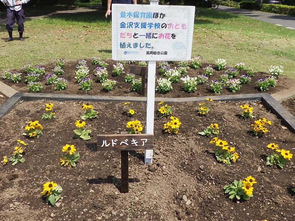 金沢支援学校生徒の皆さんと花壇の花植えを行いました。の写真