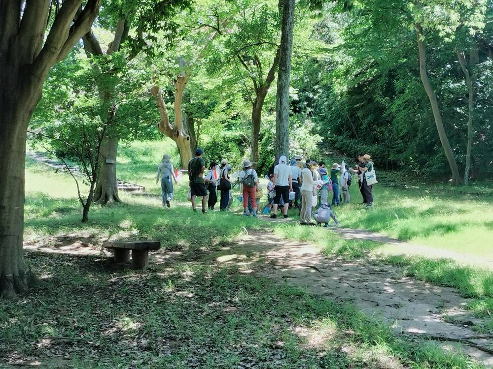夏休み昆虫観察会リポート😊の写真