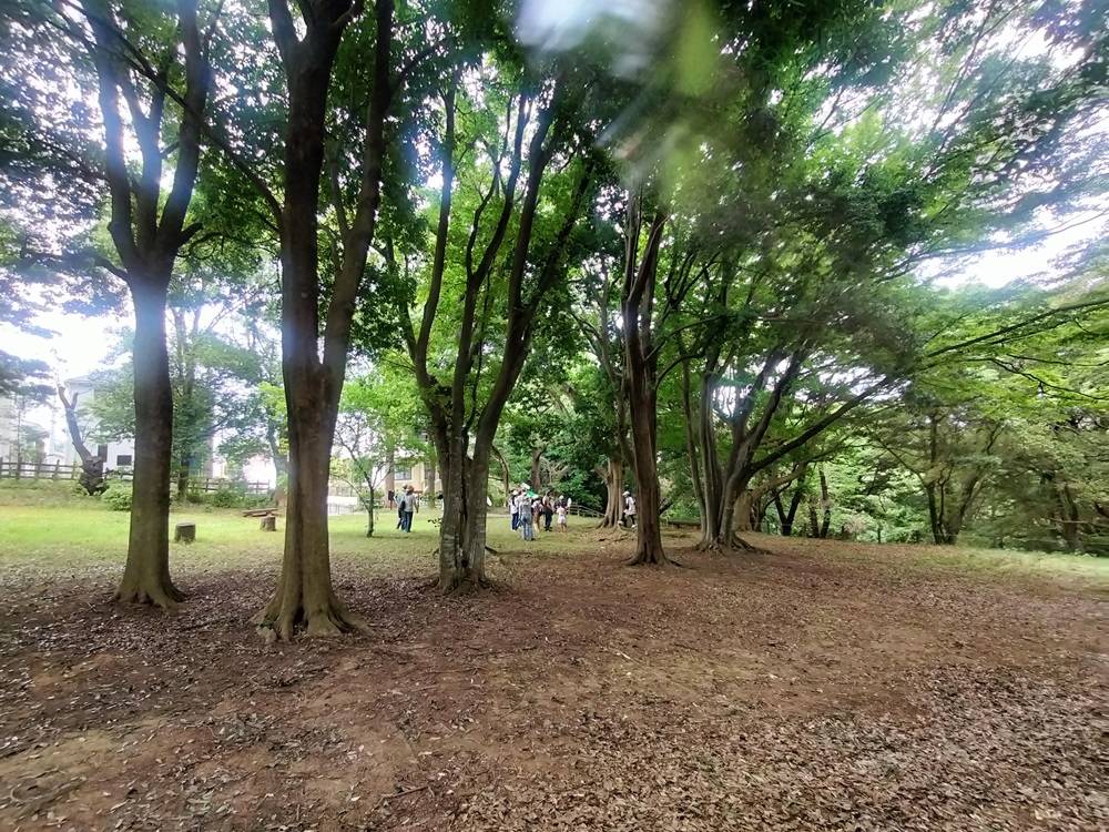 😎【ネイチャーゲーム】~副題【命を感じるおたのしみ会】リポート🌞の写真
