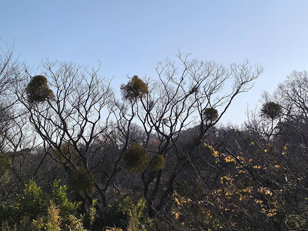 富総press冬号の写真