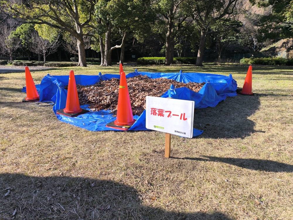 ちびっ子皆さんダイスキ【落葉プール】🍂の写真