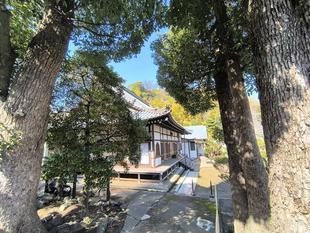 公園ウォーキングツアー【富岡の旧海岸線を歩く】リポート🚶‍♂️‍➡️