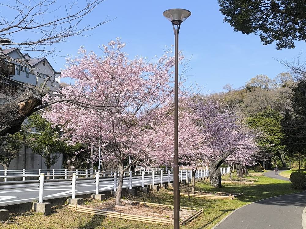 富総プレス春号の写真