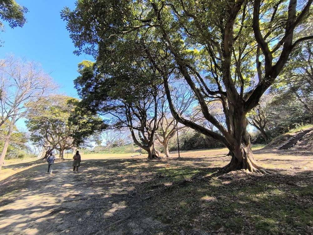 【公園ウォーキングツアー下見】リポートの写真