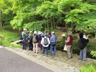 【春の公園ウォーキングツアー】を開催します。