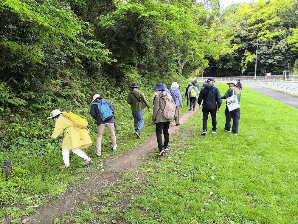 【春の公園ウォーキングツアー】リポートの写真