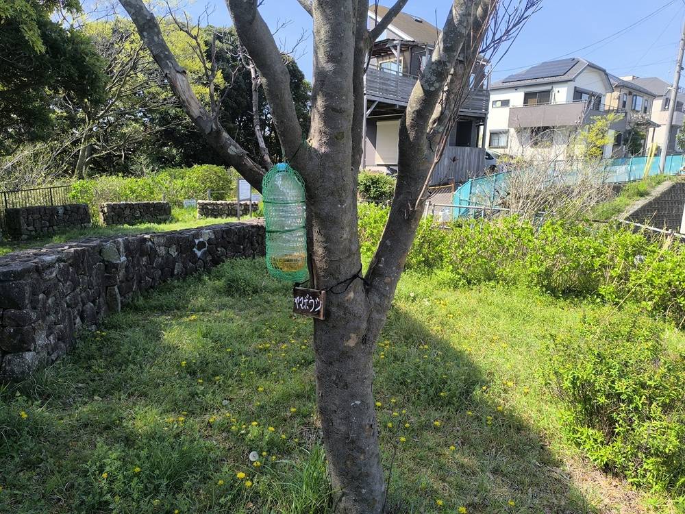 【ハチトラップ】（スズメバチ対策）を取り付けしました🐝の写真