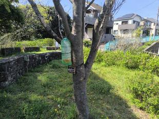【ハチトラップ】（スズメバチ対策）を取り付けしました🐝