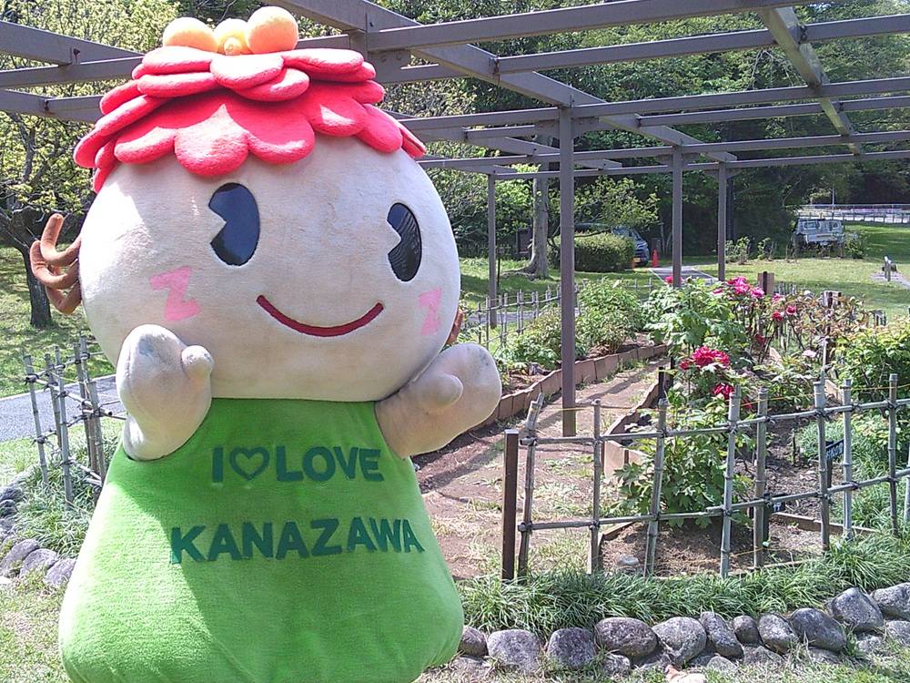 「ぼたん祭り」開催しました。の写真