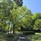 【新緑の公園】ウォーキングのご紹介です💚の画像