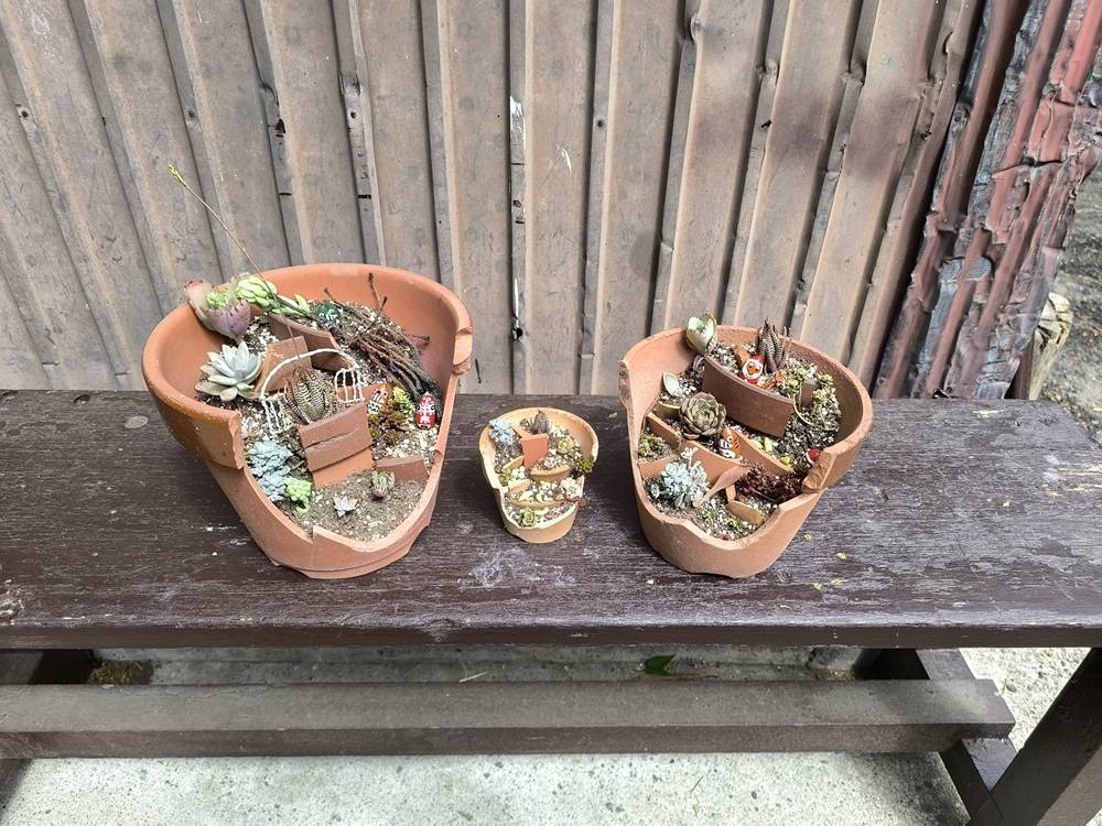 【ブロークンポット寄せ植え】のワークショップを開催します。の写真