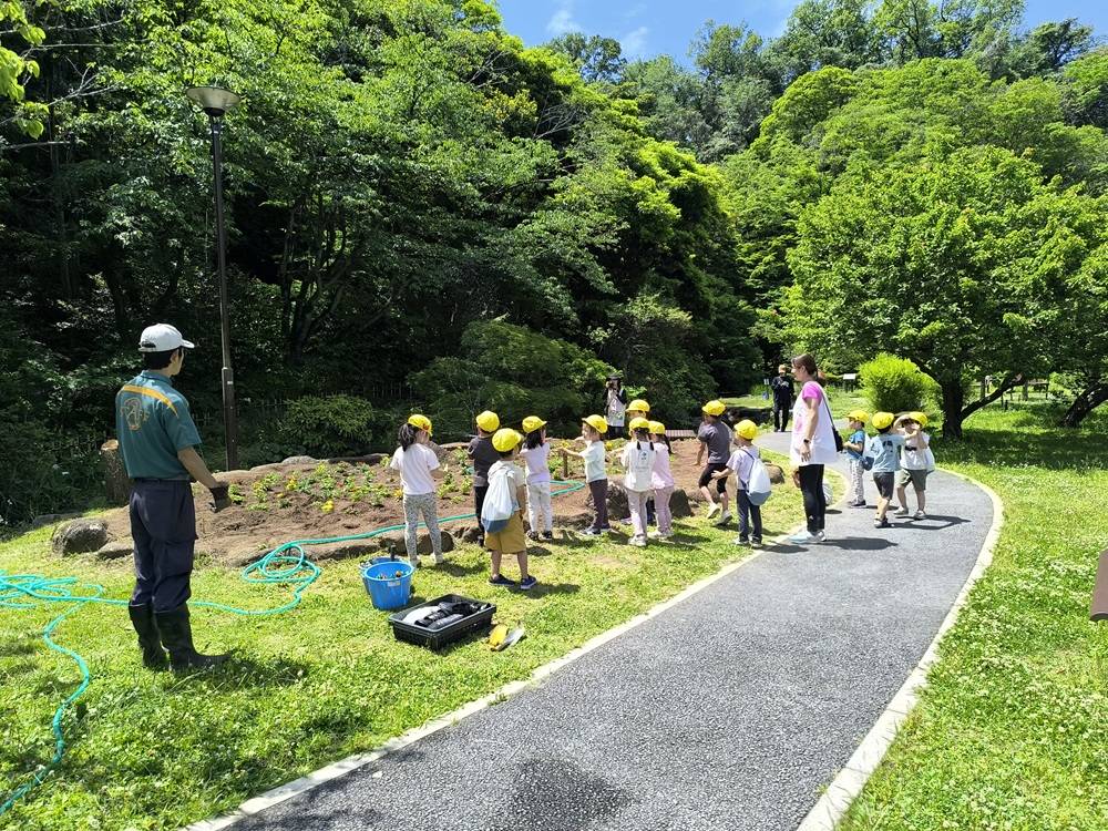 金沢ふたば保育園による【ボタン園大花壇】の花苗植え付けを実施しました。の写真
