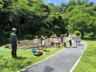 金沢ふたば保育園による【ボタン園大花壇】の花苗植え付けを実施しました。
