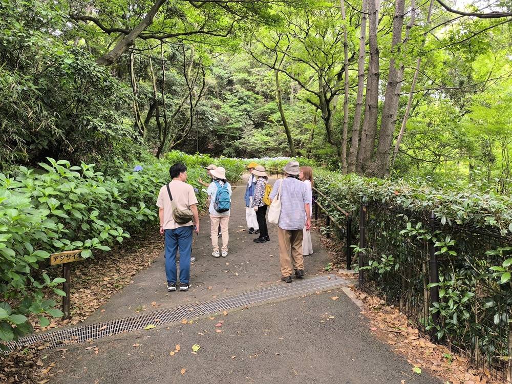あじさい鑑賞会リポートの写真