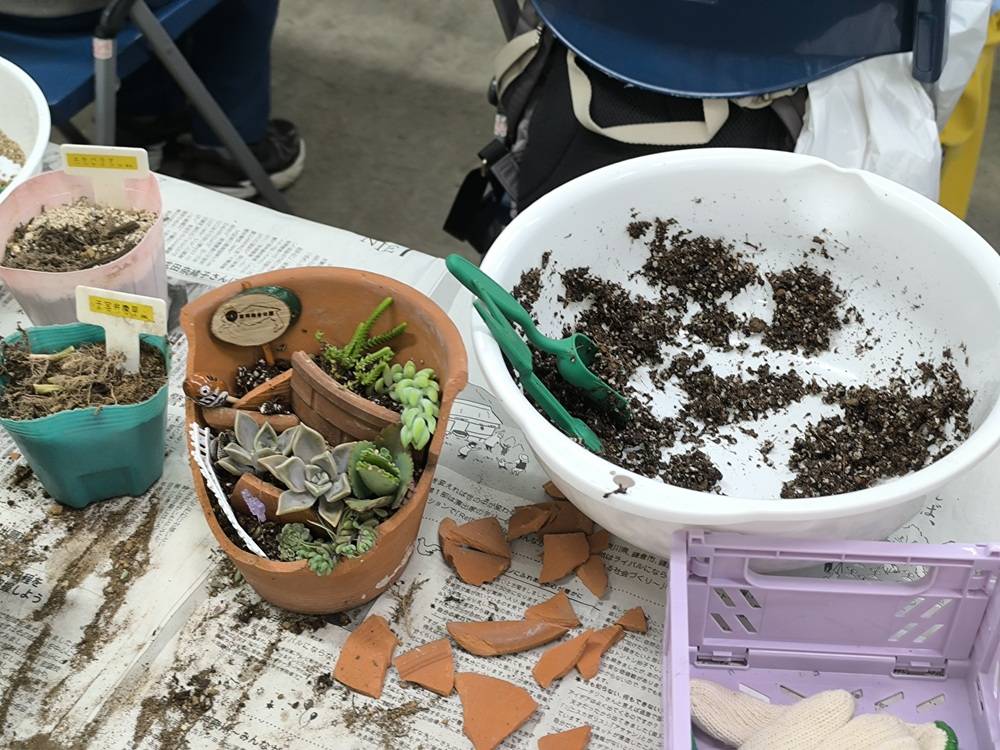 【ブロークンポット寄せ植えワークショップ】リポートの写真