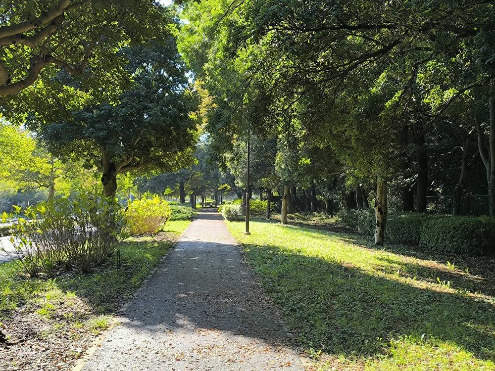 久しぶりにカラッと晴れた朝です。の写真