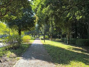 久しぶりにカラッと晴れた朝です。