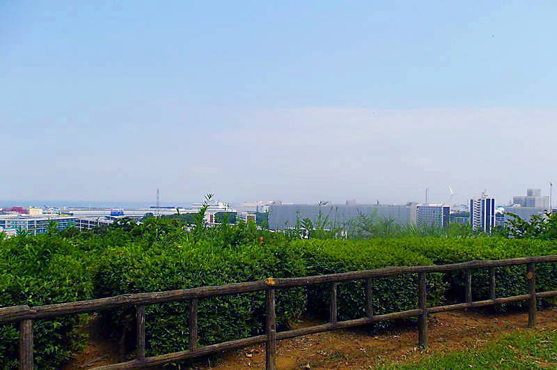 富岡総合公園_見晴らし台.jpg