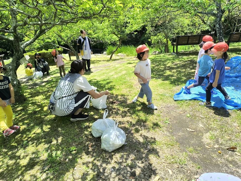 7また収穫.jpg