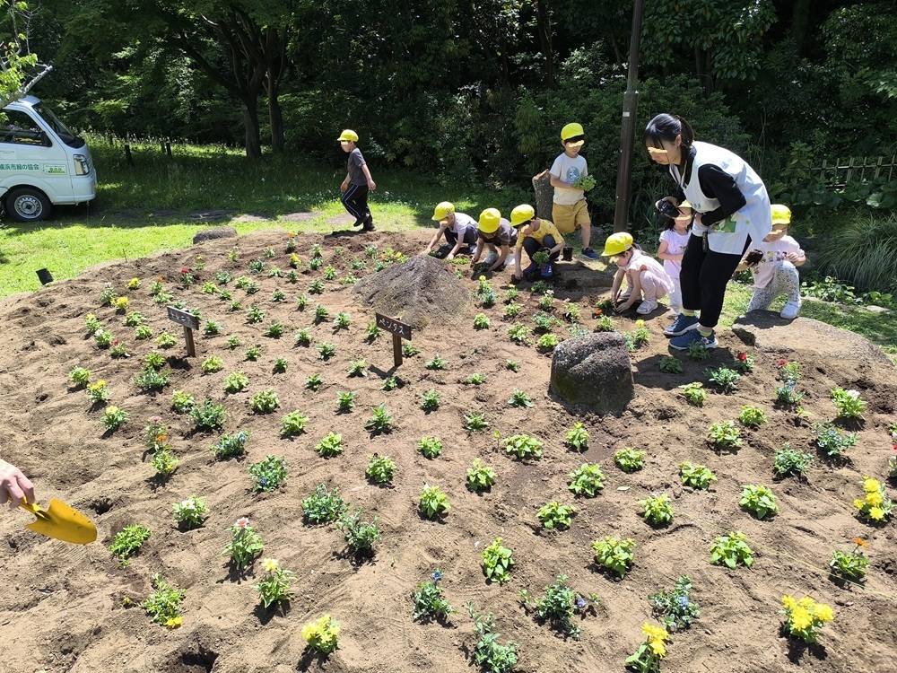 8植え付け終盤.jpg