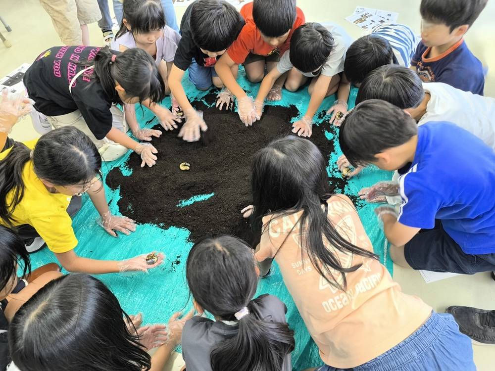 4幼虫.jpg
