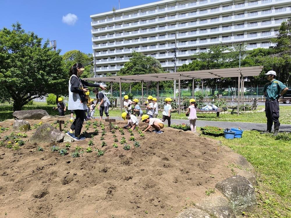 ７植え付け3.jpg