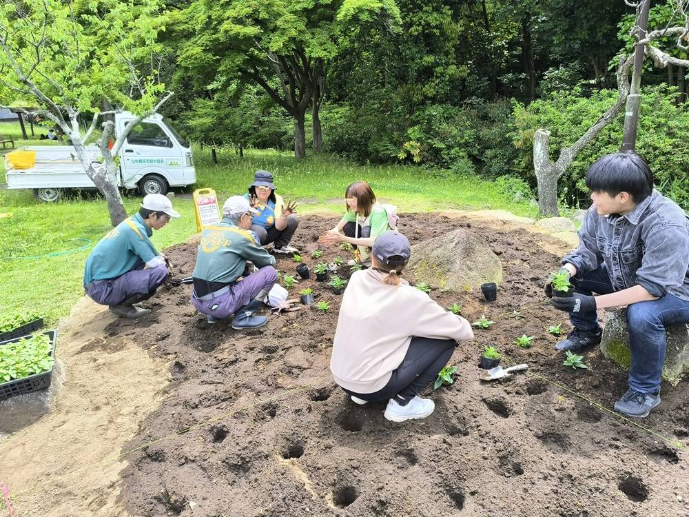３植え付け開始.jpg
