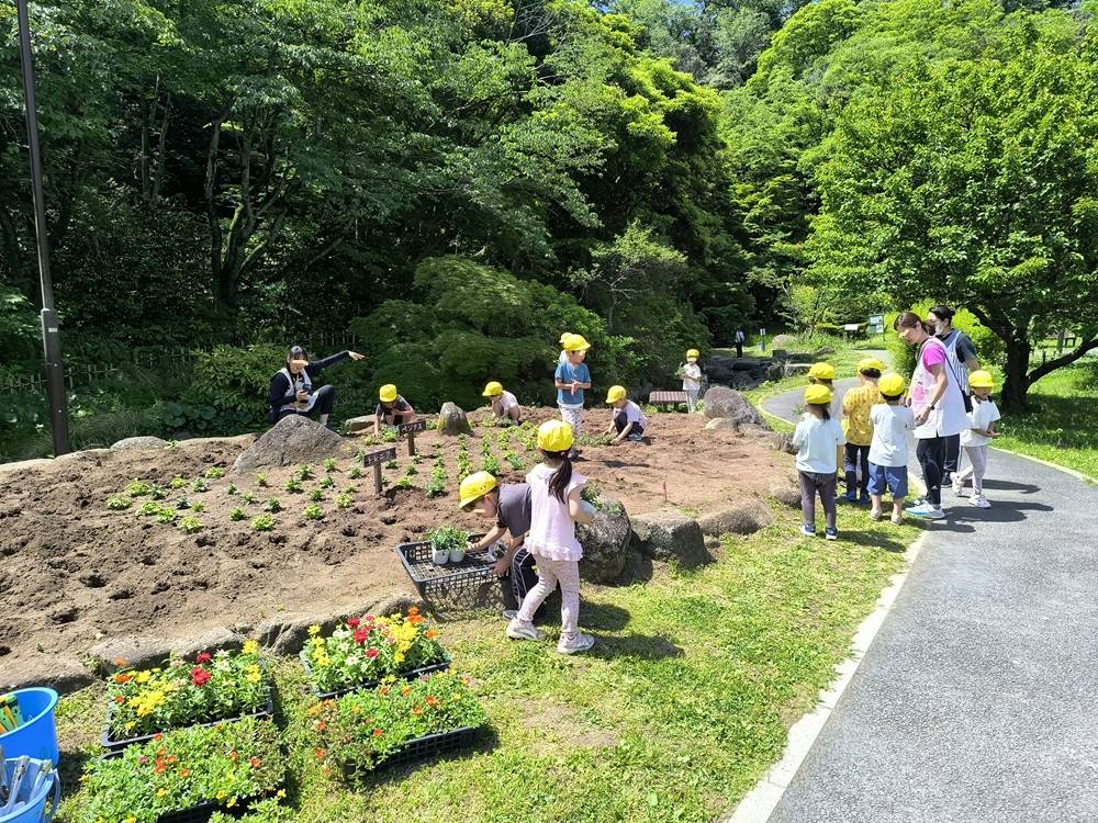 4植え付け開始.jpg