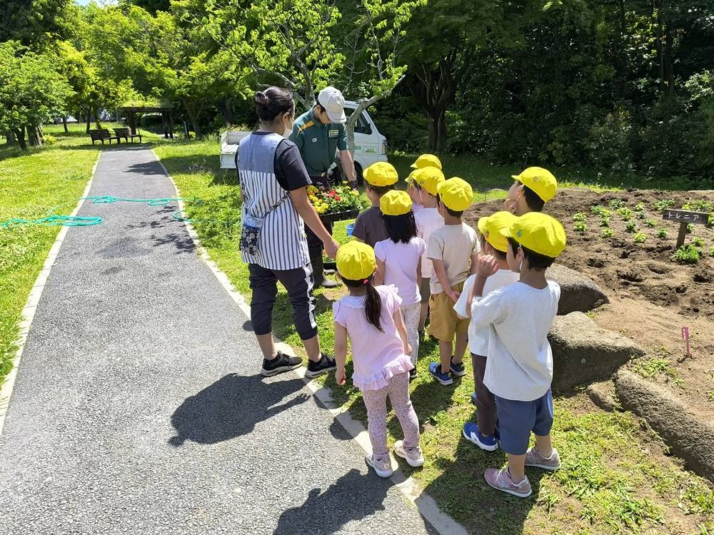 5次の苗.jpg