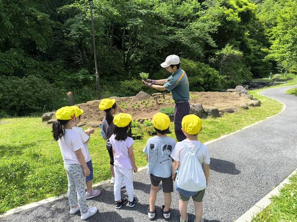 3植え付け説明.jpg