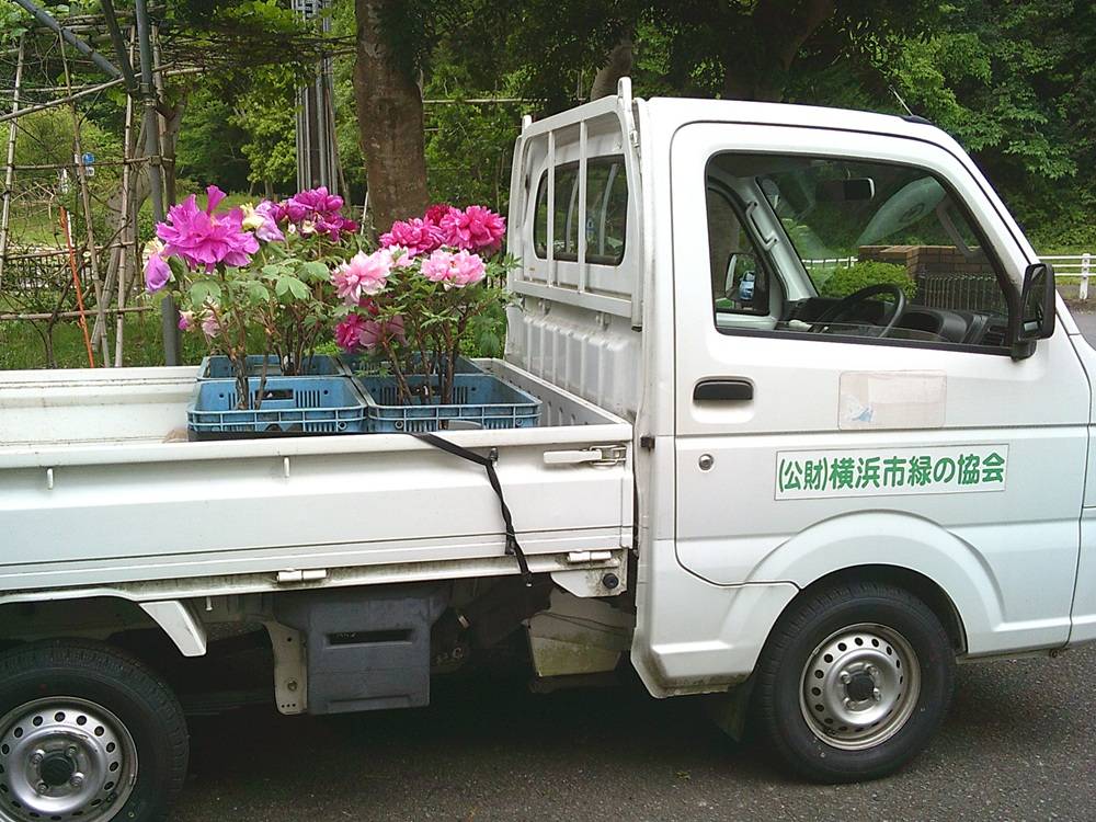 3　ぼたん日引き渡し.jpg