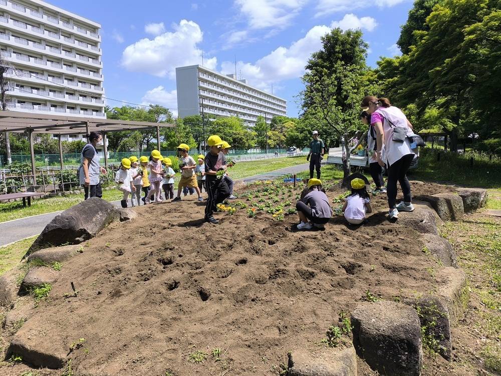 ６植え付け2.jpg