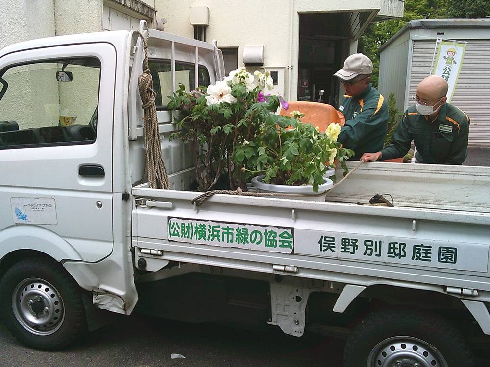 4 ぼたん引き渡し.jpg