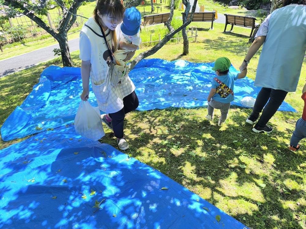 3最初の収穫.jpg