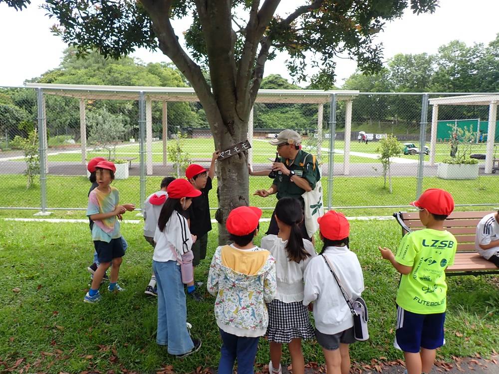 7植物観察B1.jpg