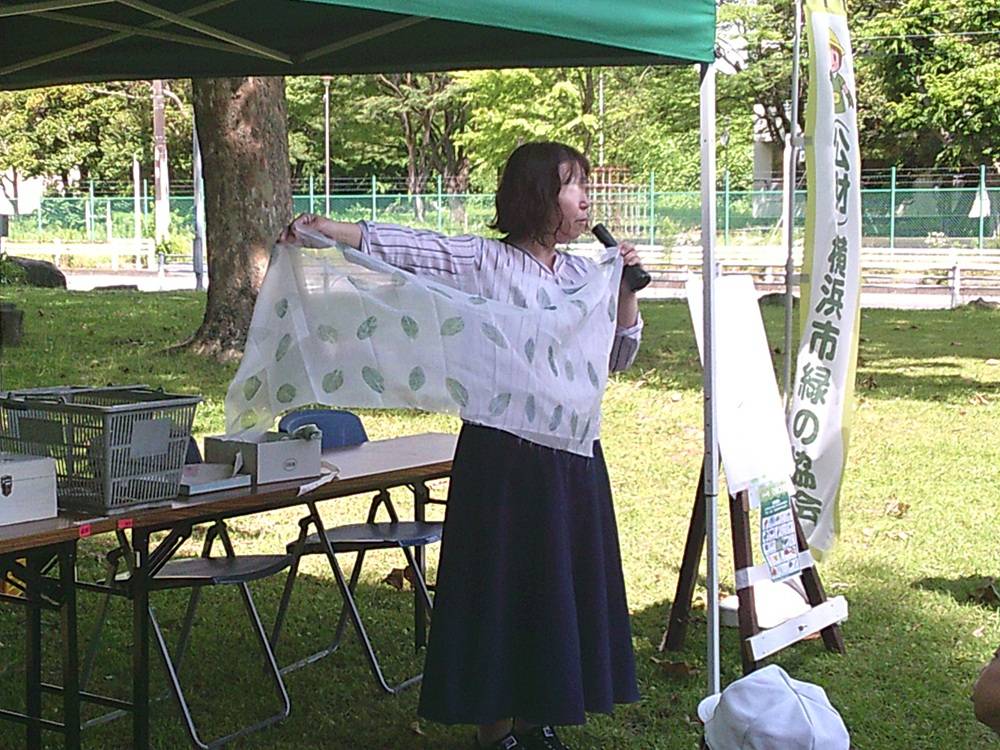 3草木染め.jpg