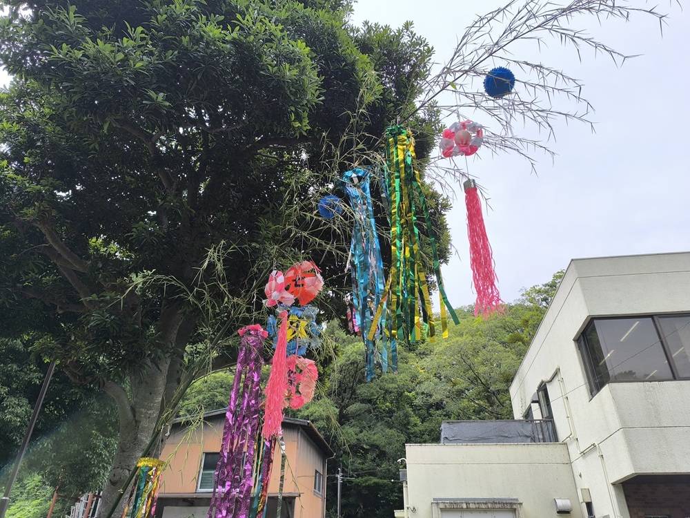 2.左.jpg