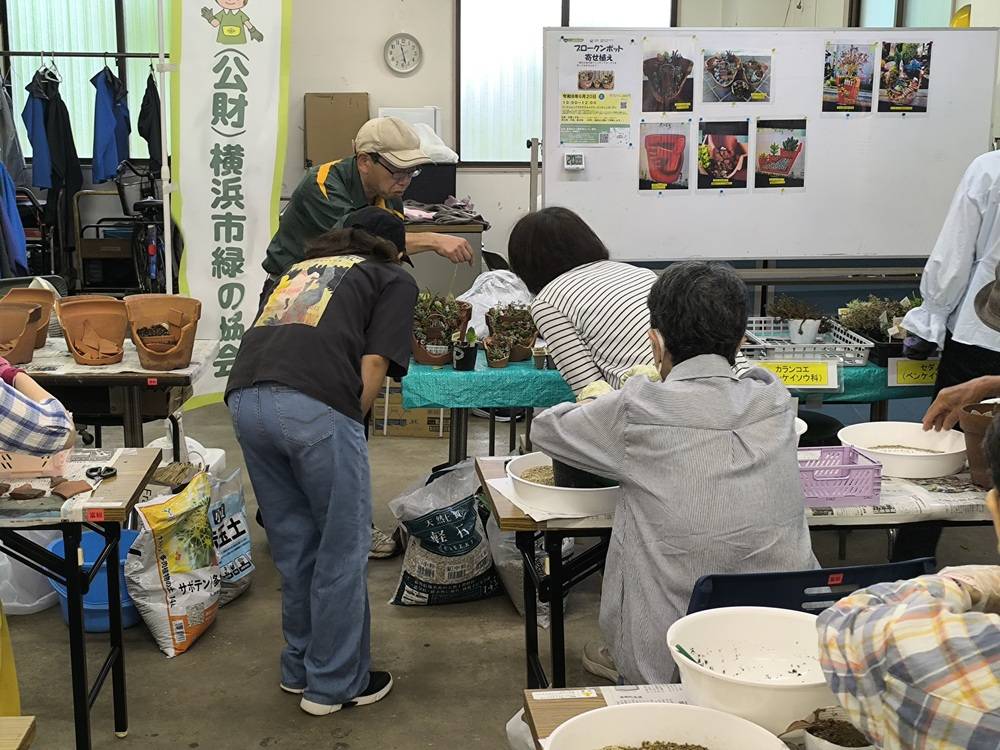 9-植物選び.jpg