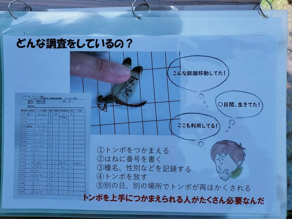 調査方法.jpg