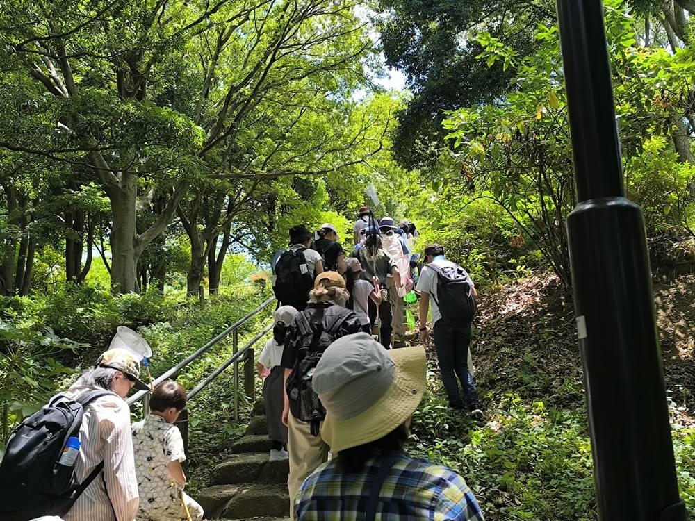 8.階段.jpg