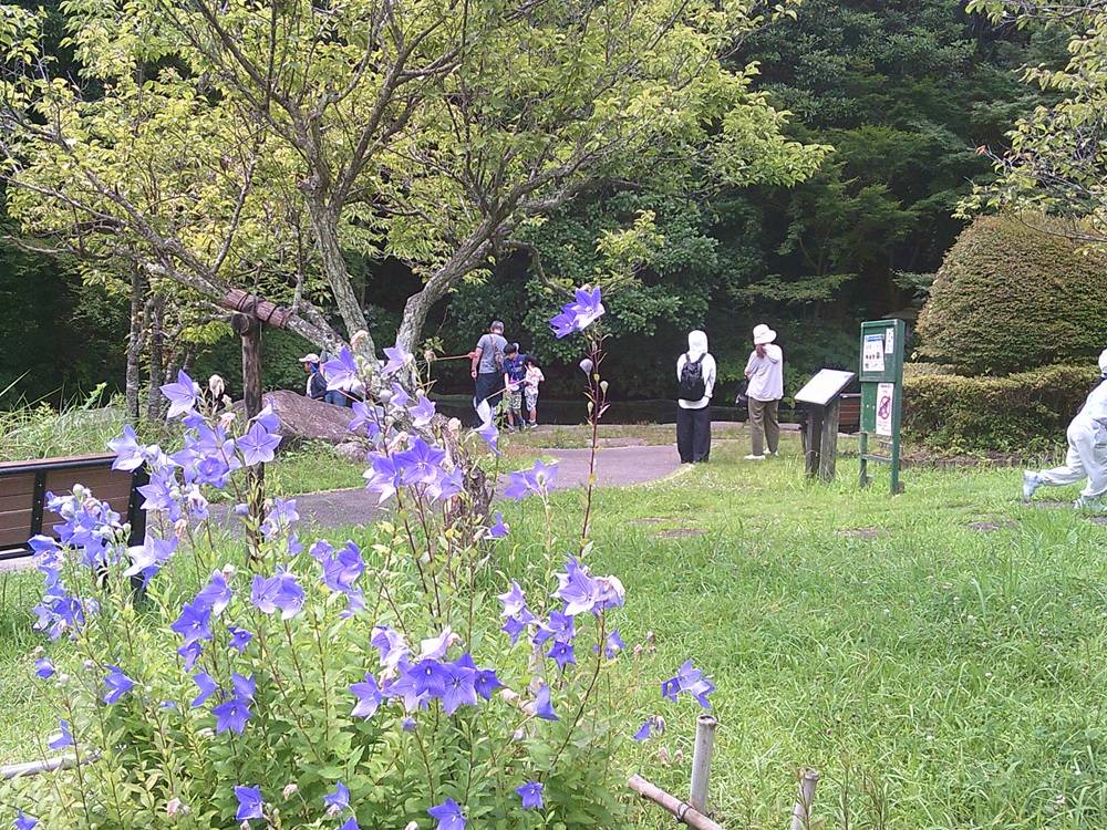 2－トンボとり.jpg