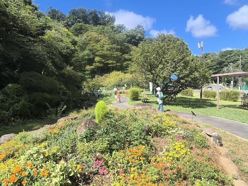 3.探索.jpg