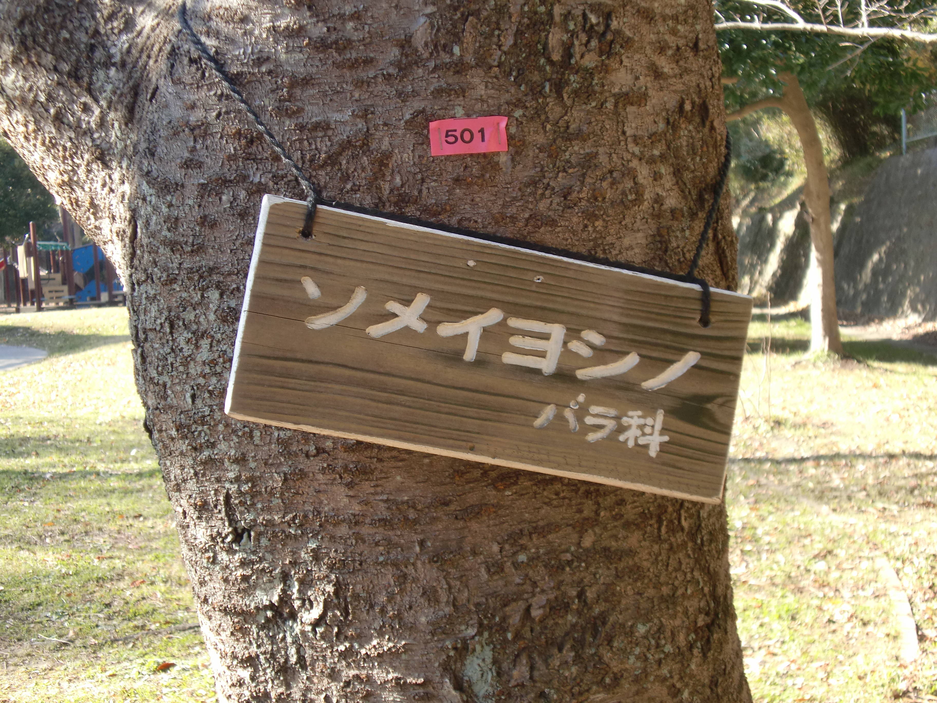 CIMG6309.jpg