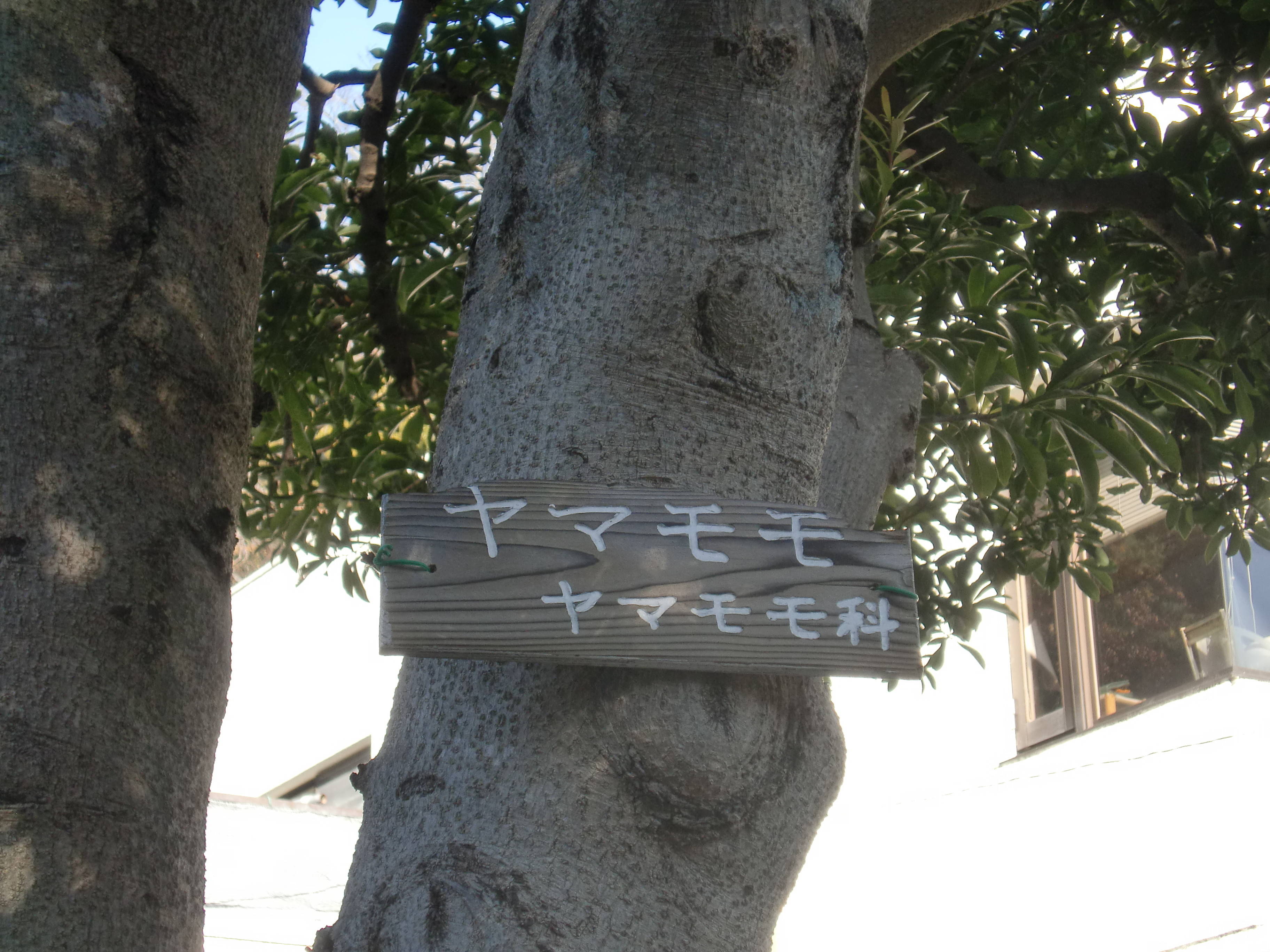 CIMG6316.jpg