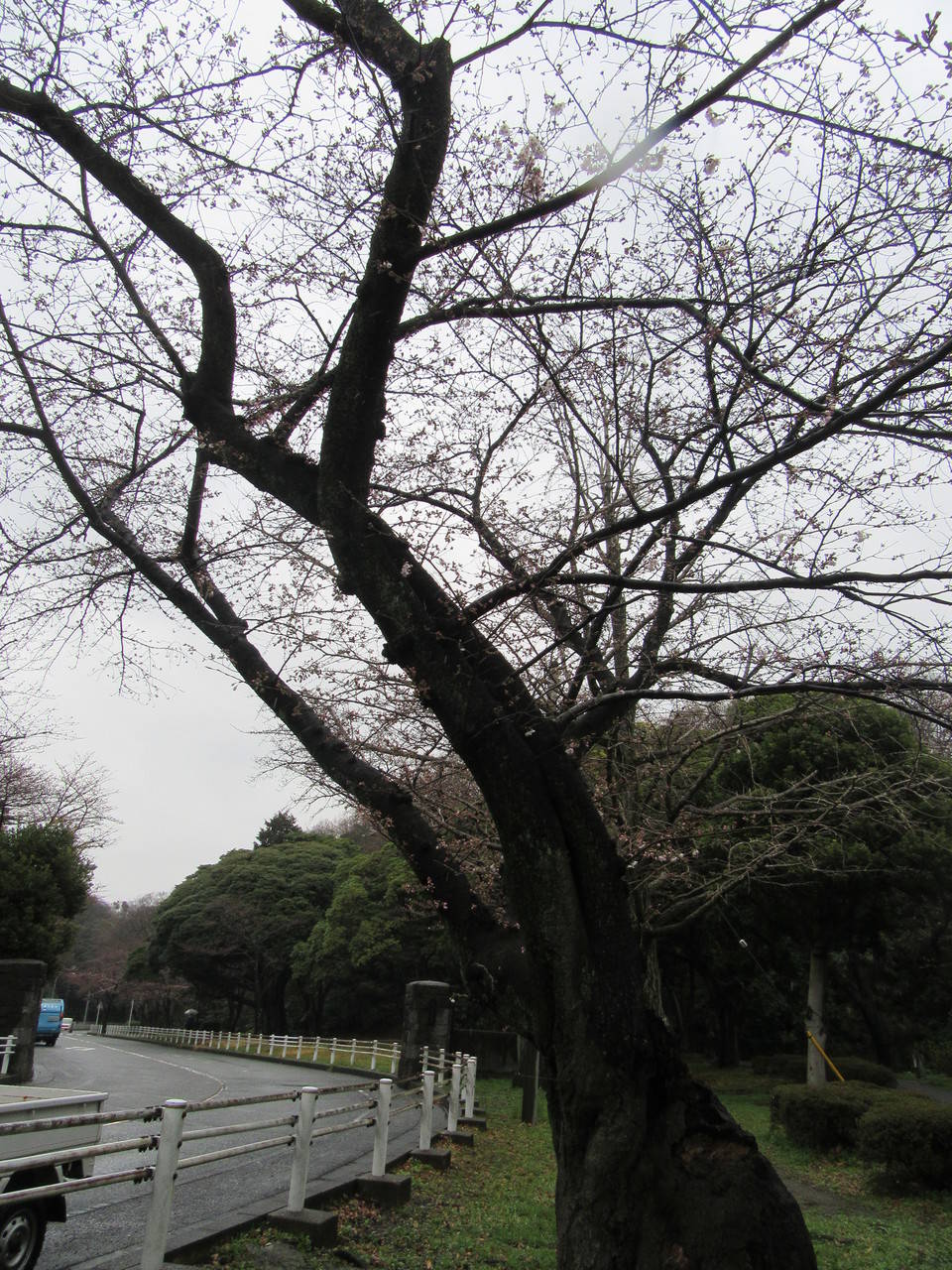 IMG_7808.jpg
