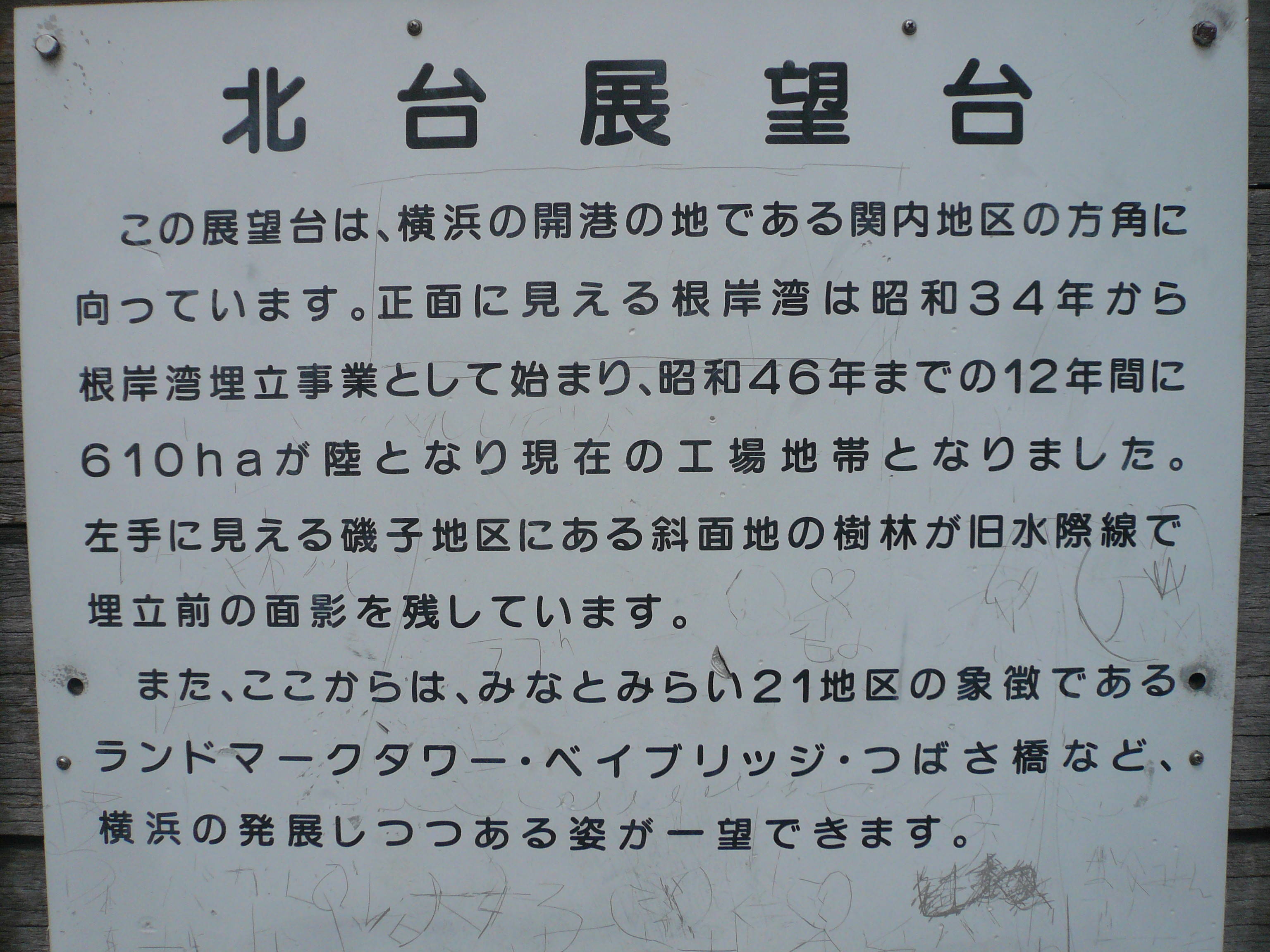 P1090741.jpg